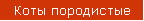 Коты породистые