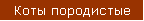 Коты породистые